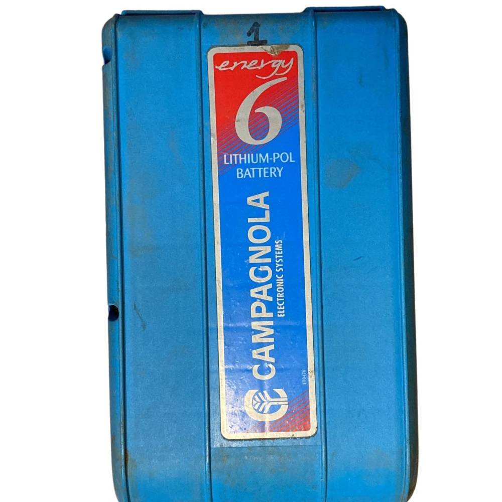 Reparación batería Campagnola ENERGY 6